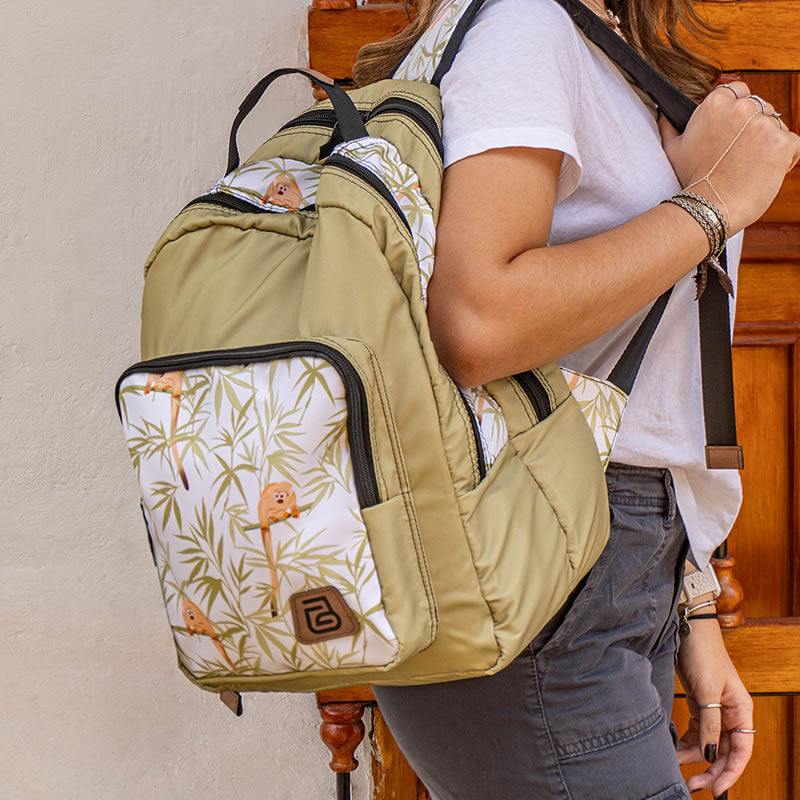 Colección Mono Ardilla